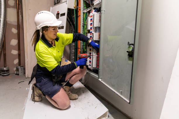 Best Electric Panel Repair  in Sheldon, TX